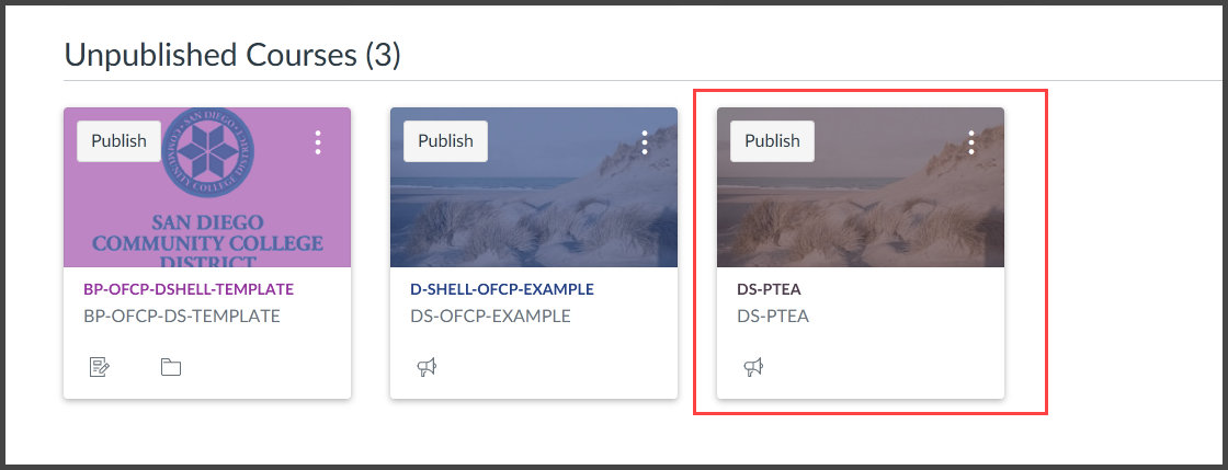 screenshot from Canvas