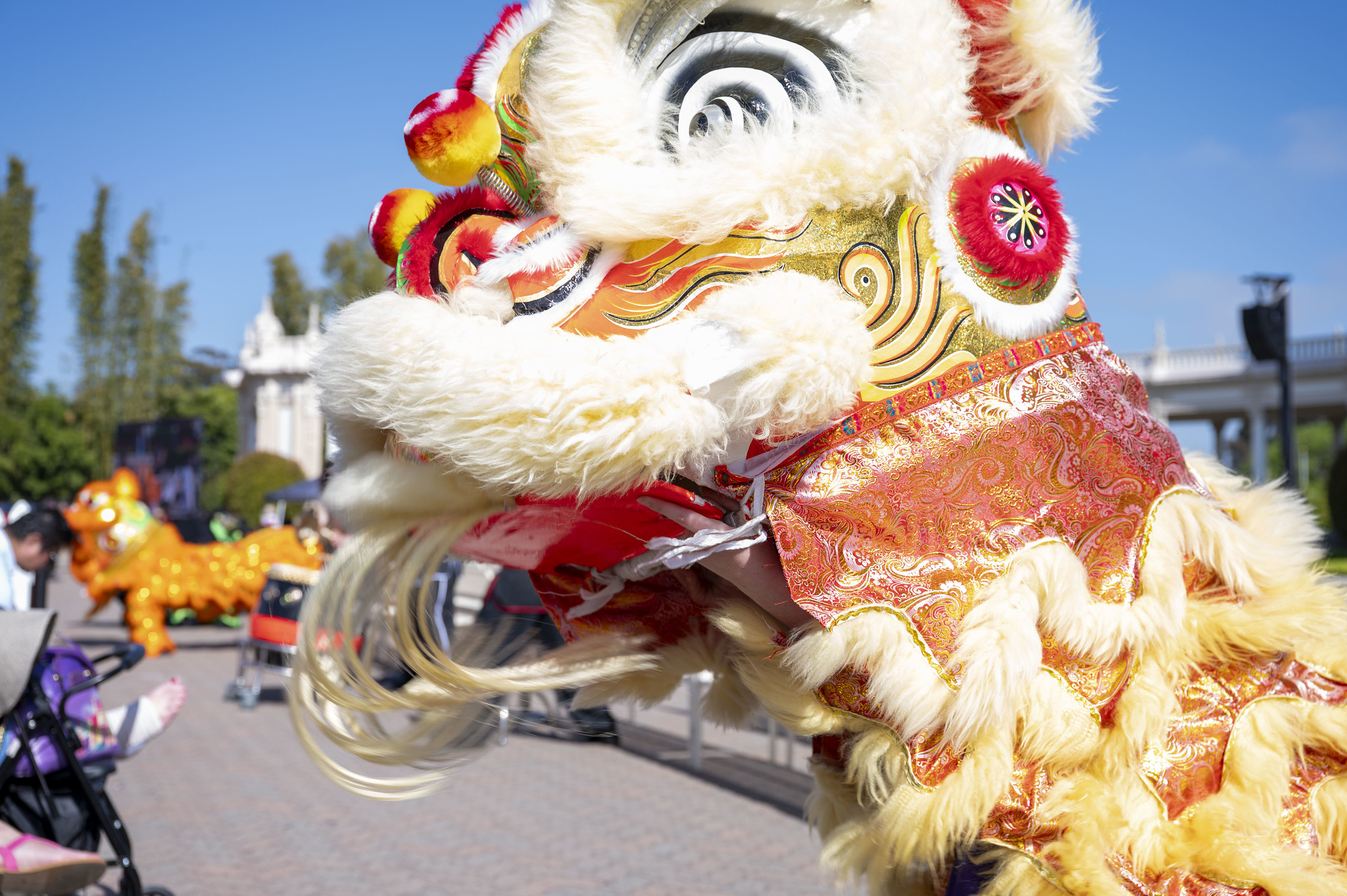 
A Chinese dragon performs at commencement.
