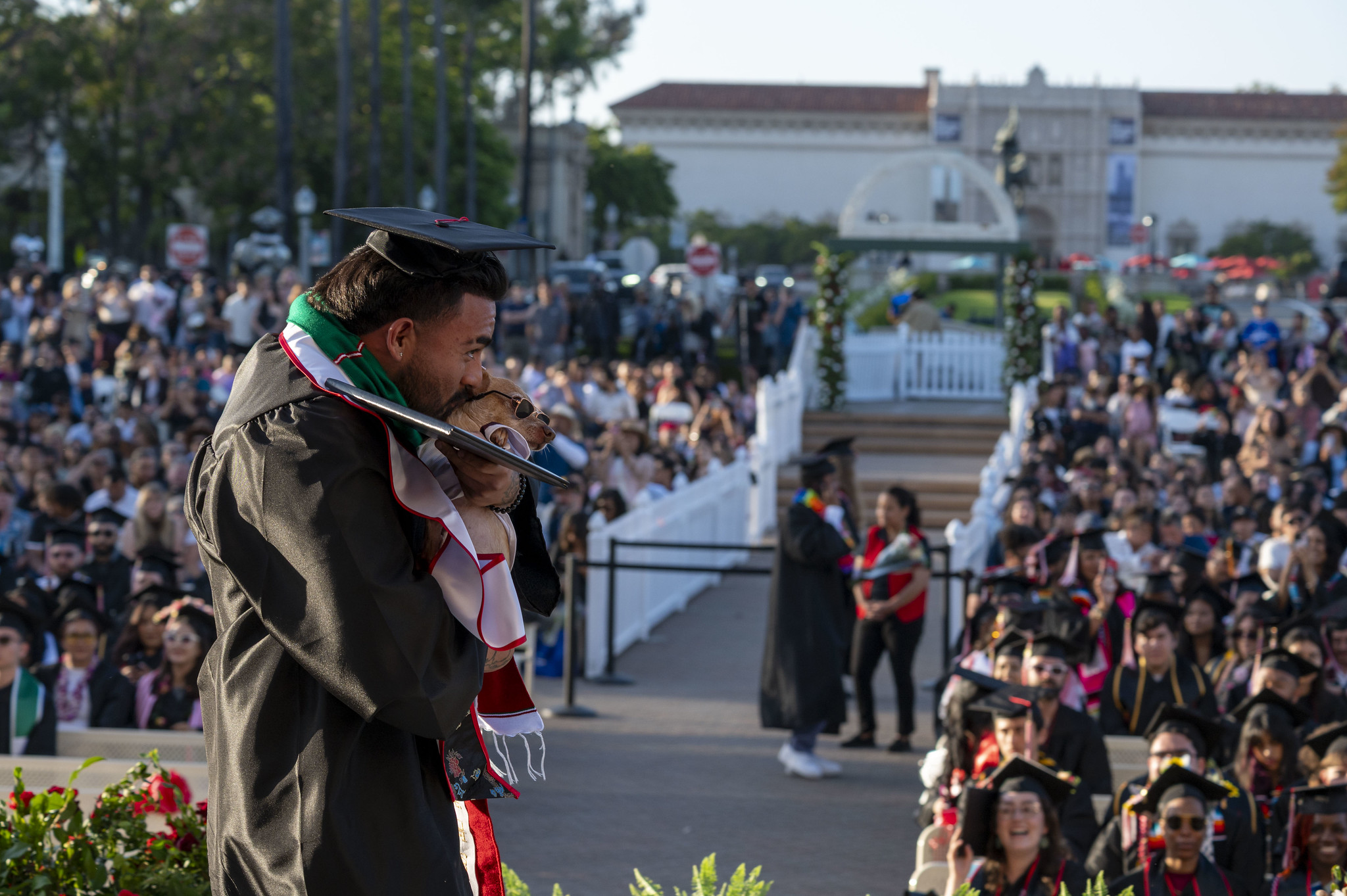 
A graduate on stage kisses his pet chihuahua after receiving his degree.
