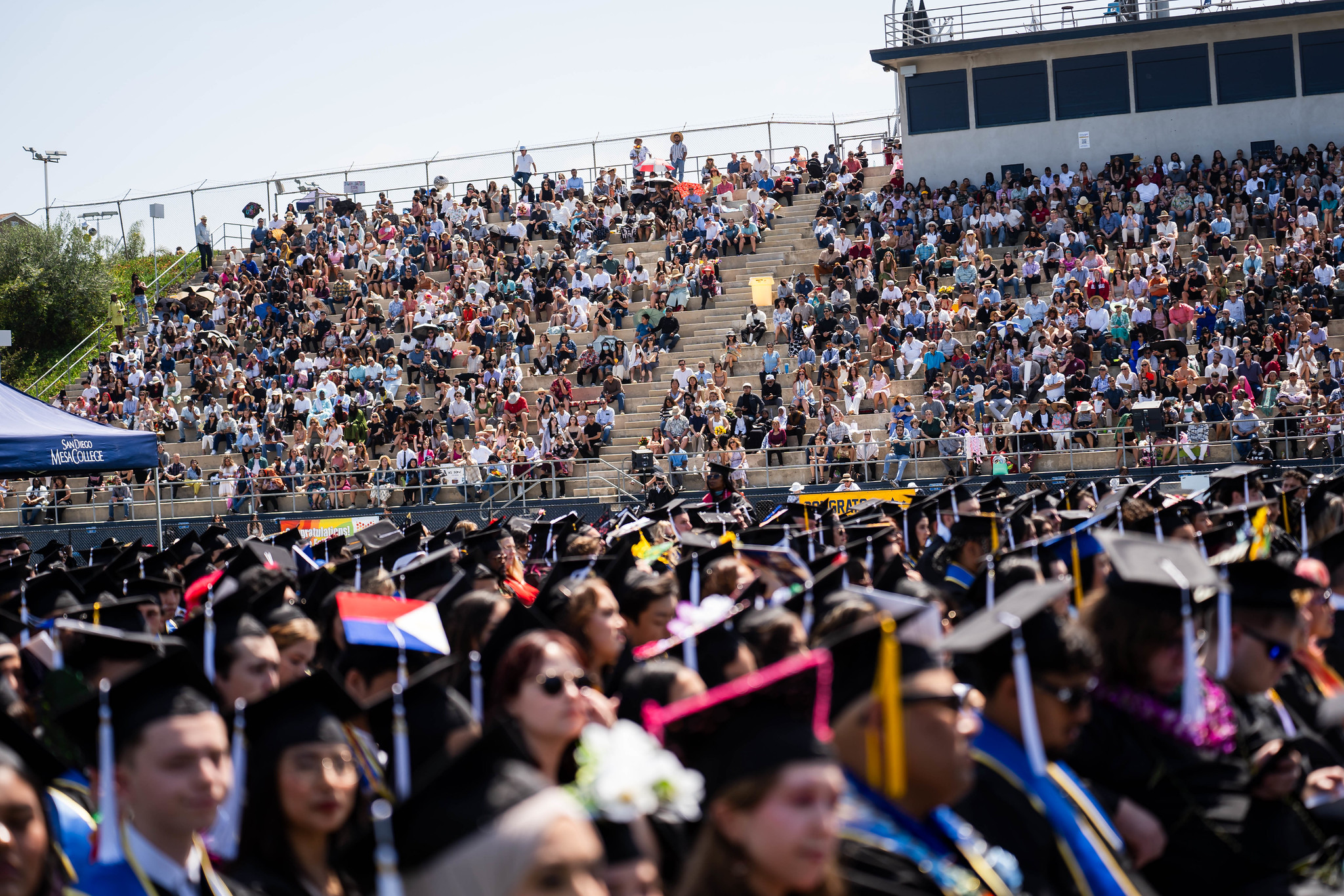 
The crowd of graduates seated at commencement.
